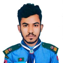 Profile picture for user bsmdemonhossain