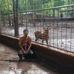 Profile picture for user tbapardavp