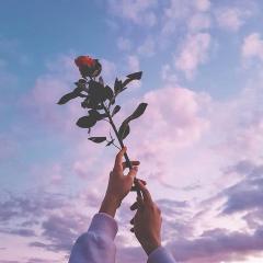 Profile picture for user anugi 