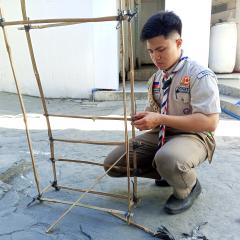 Profile picture for user scout.picones